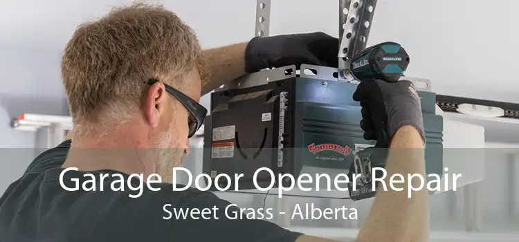 Garage Door Opener Repair Sweet Grass - Alberta