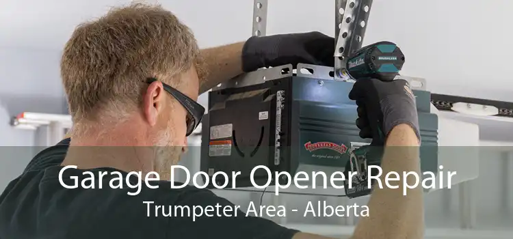 Garage Door Opener Repair Trumpeter Area - Alberta