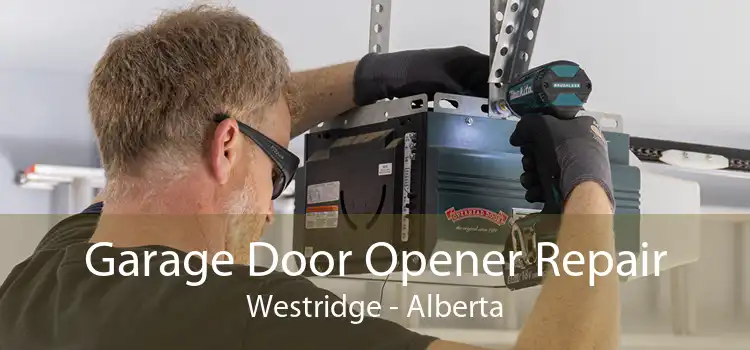 Garage Door Opener Repair Westridge - Alberta