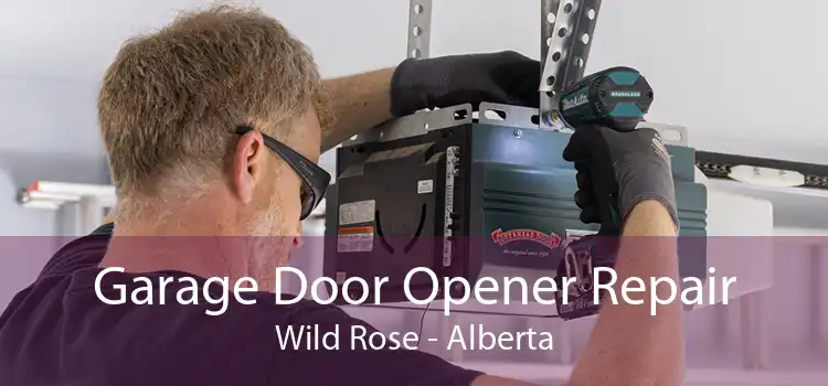 Garage Door Opener Repair Wild Rose - Alberta