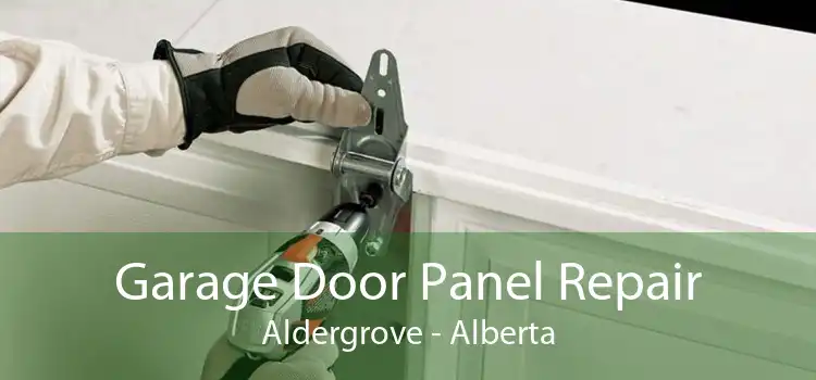 Garage Door Panel Repair Aldergrove - Alberta