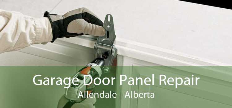 Garage Door Panel Repair Allendale - Alberta