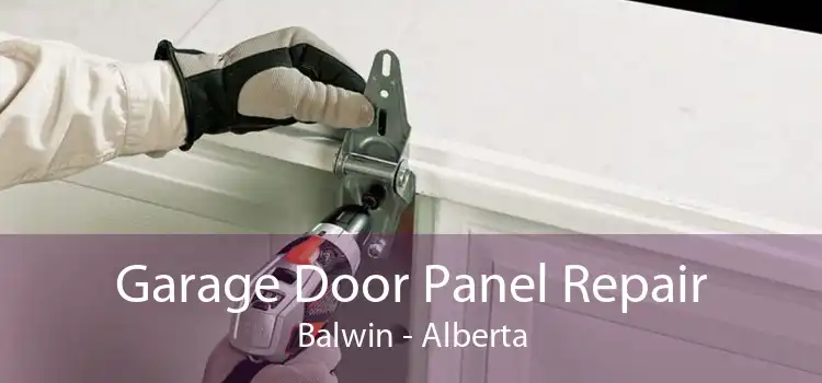Garage Door Panel Repair Balwin - Alberta