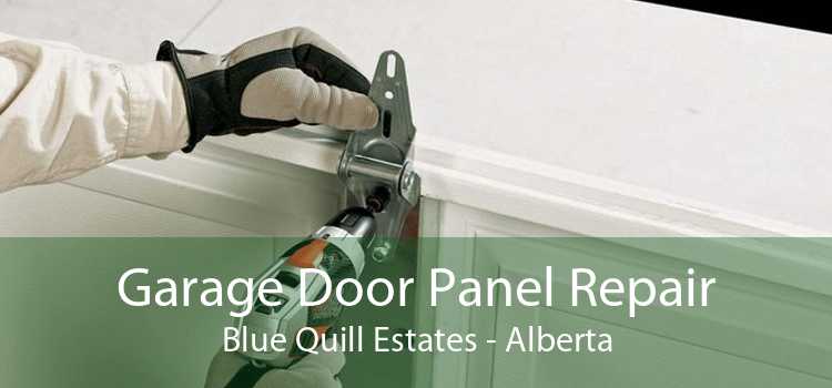Garage Door Panel Repair Blue Quill Estates - Alberta