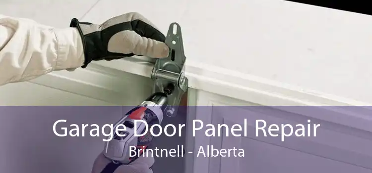 Garage Door Panel Repair Brintnell - Alberta