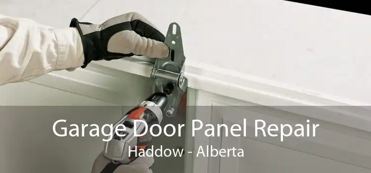 Garage Door Panel Repair Haddow - Alberta