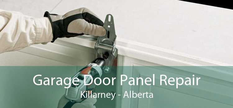 Garage Door Panel Repair Killarney - Alberta