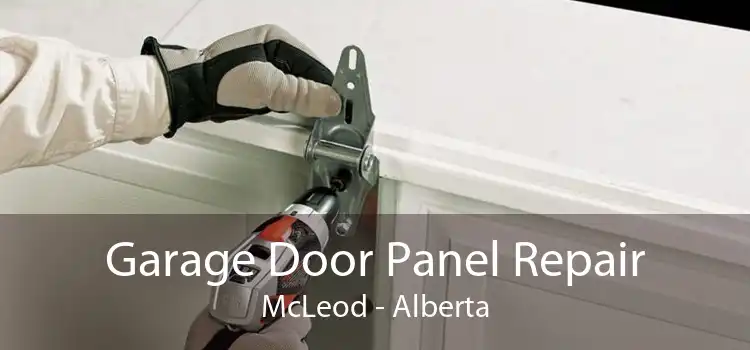 Garage Door Panel Repair McLeod - Alberta