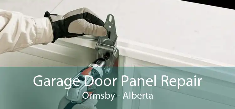 Garage Door Panel Repair Ormsby - Alberta
