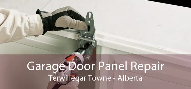 Garage Door Panel Repair Terwillegar Towne - Alberta