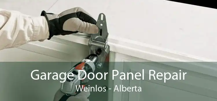 Garage Door Panel Repair Weinlos - Alberta