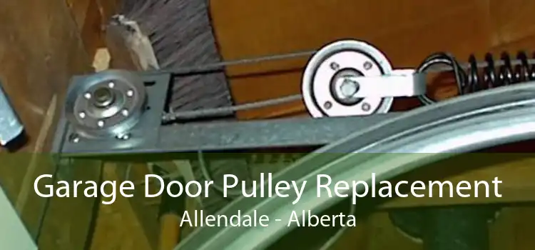 Garage Door Pulley Replacement Allendale - Alberta
