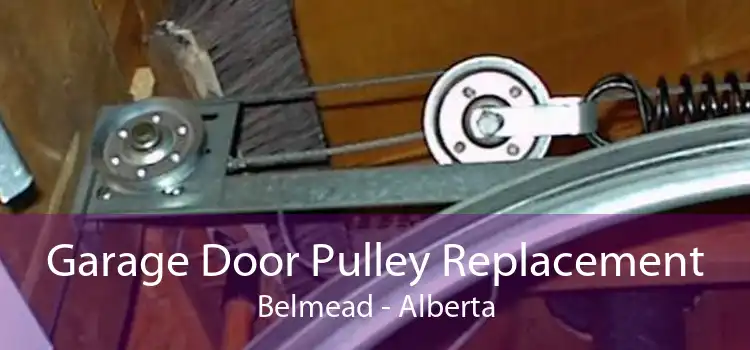 Garage Door Pulley Replacement Belmead - Alberta