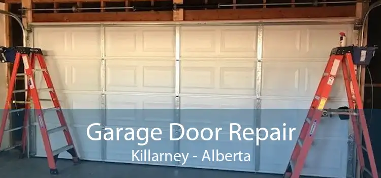 Garage Door Repair Killarney - Alberta