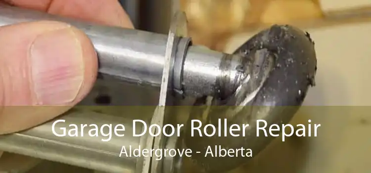 Garage Door Roller Repair Aldergrove - Alberta