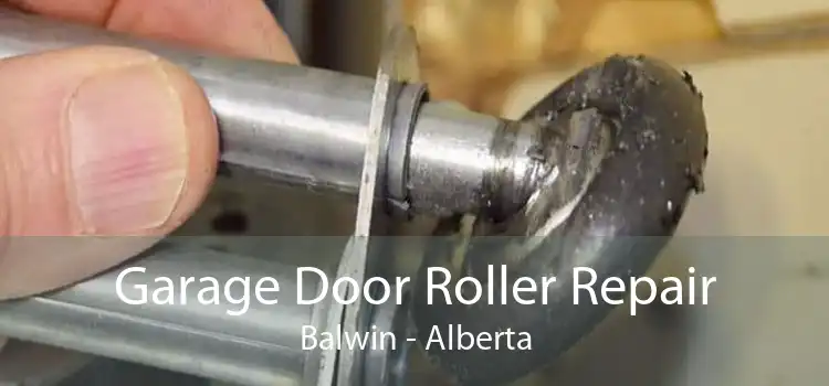 Garage Door Roller Repair Balwin - Alberta