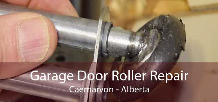 Garage Door Roller Repair Caernarvon - Alberta