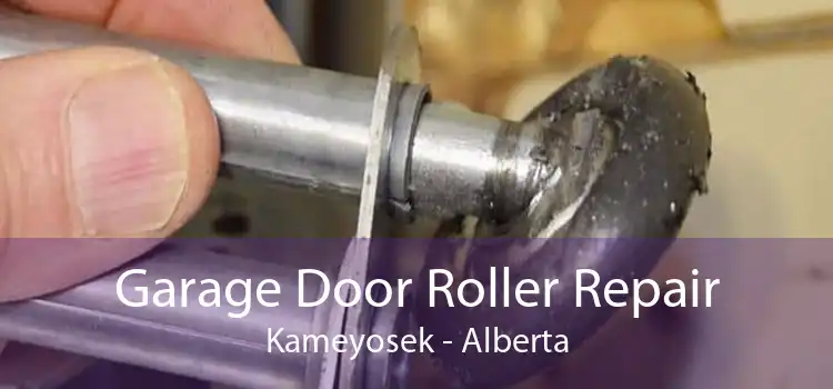 Garage Door Roller Repair Kameyosek - Alberta