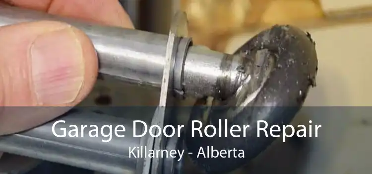 Garage Door Roller Repair Killarney - Alberta