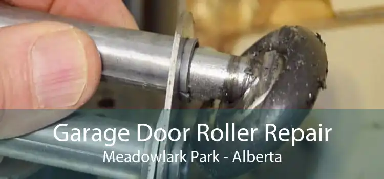 Garage Door Roller Repair Meadowlark Park - Alberta