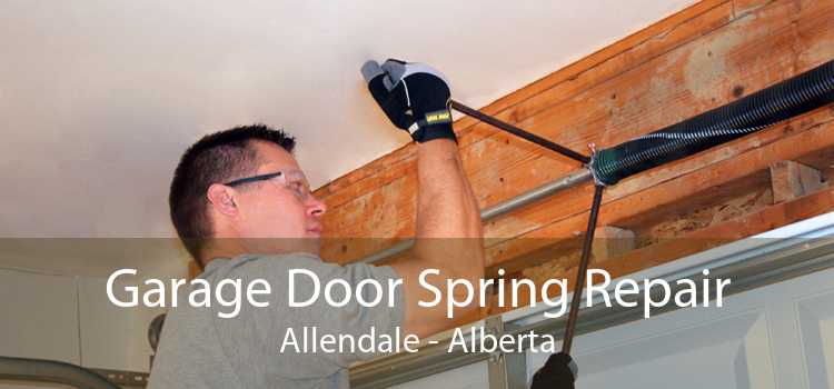 Garage Door Spring Repair Allendale - Alberta