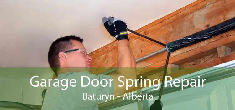 Garage Door Spring Repair Baturyn - Alberta