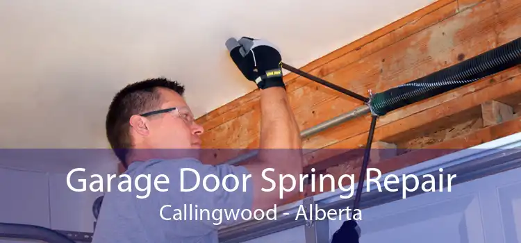 Garage Door Spring Repair Callingwood - Alberta