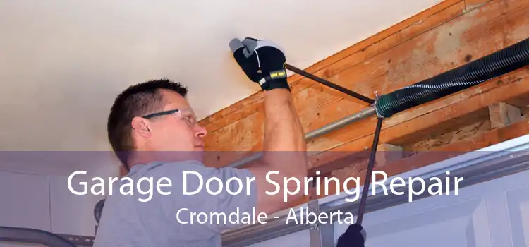 Garage Door Spring Repair Cromdale - Alberta