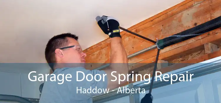 Garage Door Spring Repair Haddow - Alberta