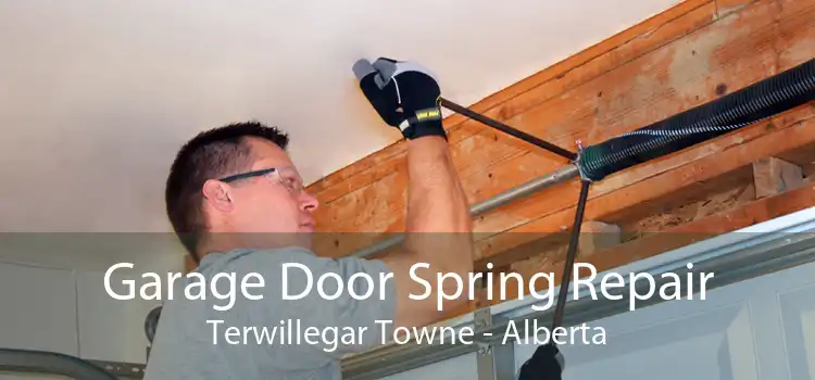 Garage Door Spring Repair Terwillegar Towne - Alberta