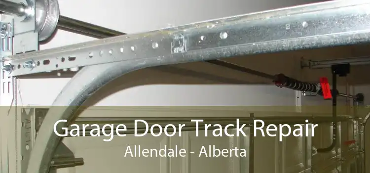 Garage Door Track Repair Allendale - Alberta