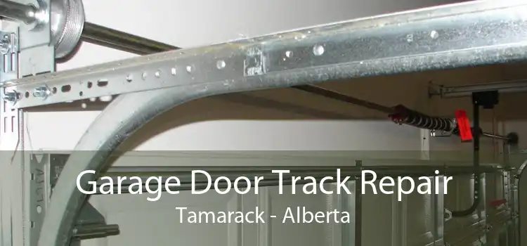 Garage Door Track Repair Tamarack - Alberta