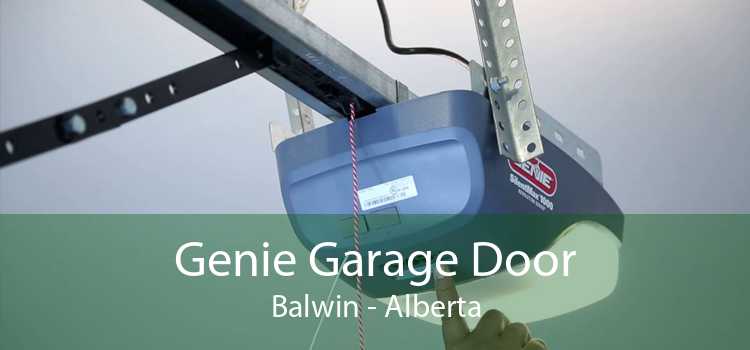 Genie Garage Door Balwin - Alberta