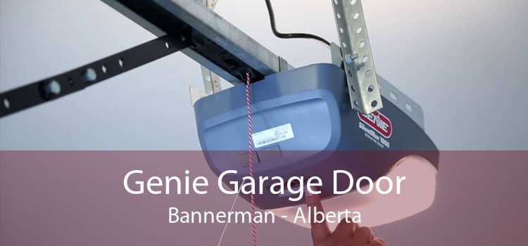 Genie Garage Door Bannerman - Alberta