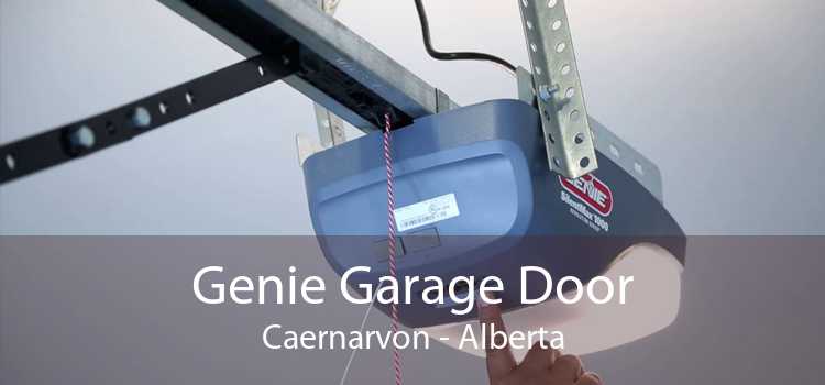 Genie Garage Door Caernarvon - Alberta