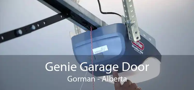 Genie Garage Door Gorman - Alberta