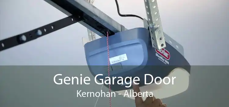 Genie Garage Door Kernohan - Alberta