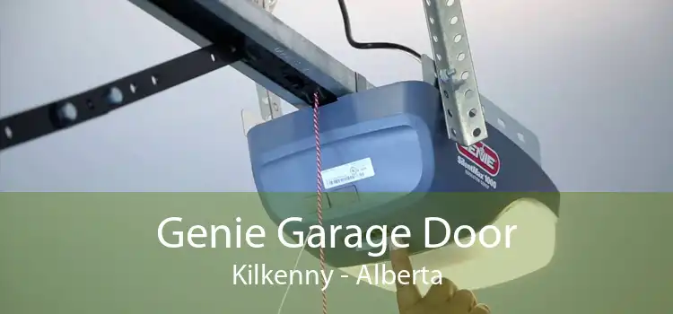 Genie Garage Door Kilkenny - Alberta