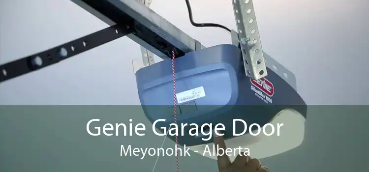 Genie Garage Door Meyonohk - Alberta