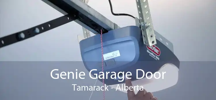 Genie Garage Door Tamarack - Alberta