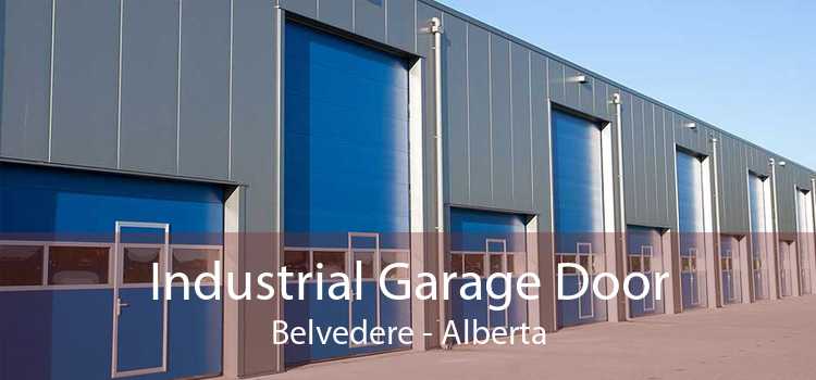 Industrial Garage Door Belvedere - Alberta