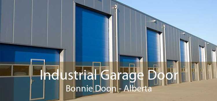 Industrial Garage Door Bonnie Doon - Alberta