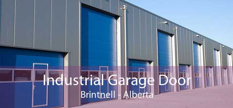 Industrial Garage Door Brintnell - Alberta