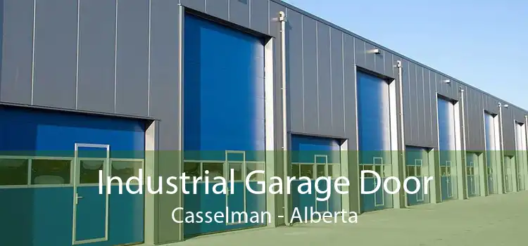 Industrial Garage Door Casselman - Alberta