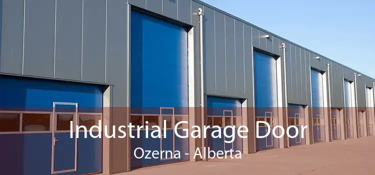 Industrial Garage Door Ozerna - Alberta
