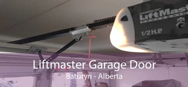 Liftmaster Garage Door Baturyn - Alberta