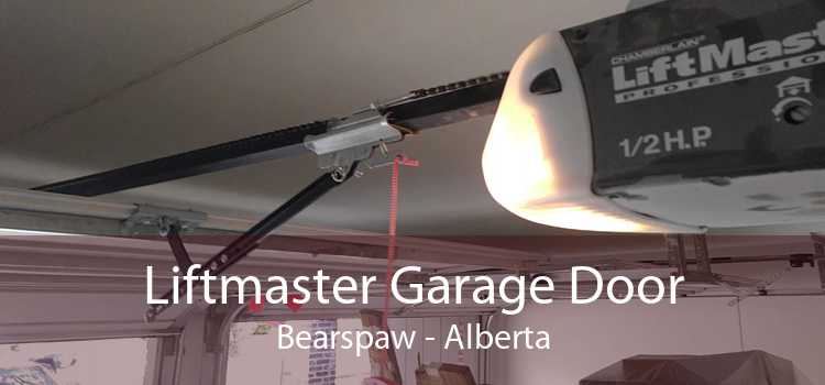 Liftmaster Garage Door Bearspaw - Alberta