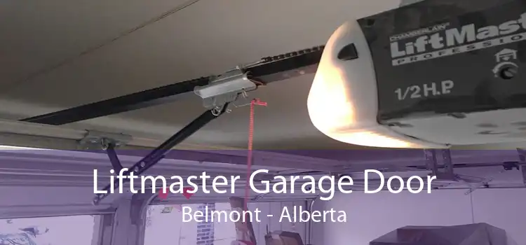 Liftmaster Garage Door Belmont - Alberta