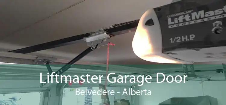Liftmaster Garage Door Belvedere - Alberta