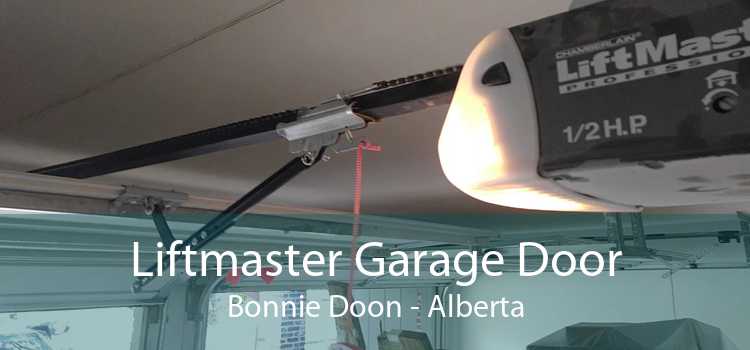 Liftmaster Garage Door Bonnie Doon - Alberta